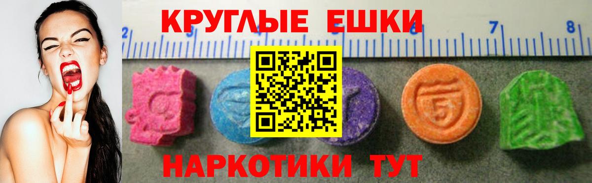 Ecstasy  ЭКСТАЗИ Philipp Plein  Вход с VPN  Ecstasy Cube  Родники 