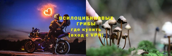 винт Нефтегорск