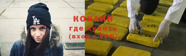 индика Наволоки