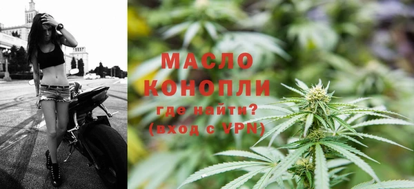 индика Наволоки
