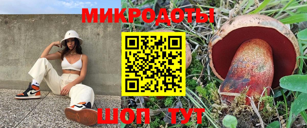 Псилоцибиновые грибы MAGIC MUSHROOMS Родники