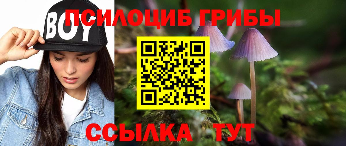 Псилоцибиновые грибы GOLDEN TEACHER  Вход с VPN  Родники  Псилоцибиновые грибы прущие грибы 
