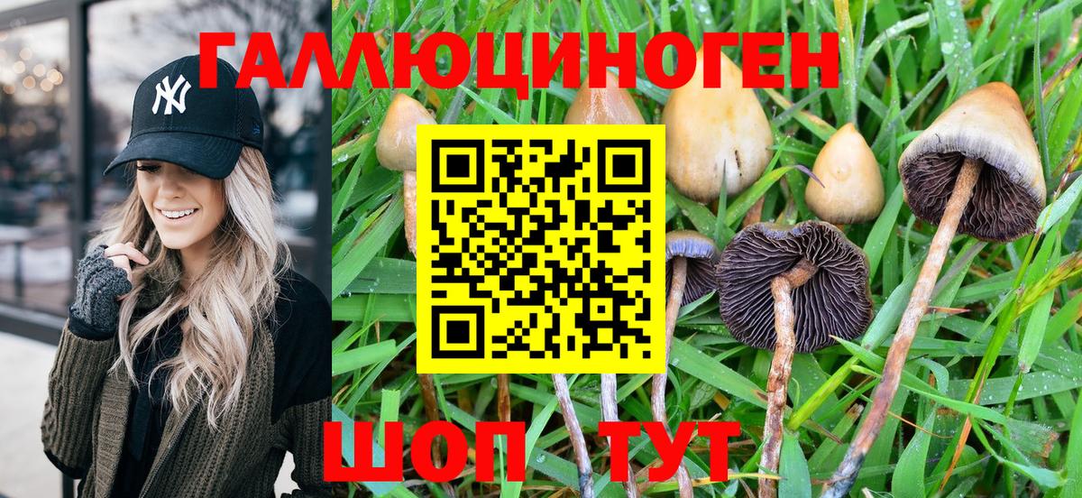 Галлюциногенные грибы ЛСД  Родники 